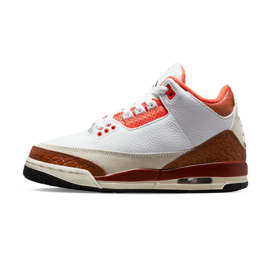 Air Jordan 3 'Dunk on Mars'